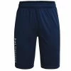 Under Armour Junior - Boys Prototype 2.0 Wordmark Shorts Academy (408)