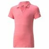 Puma Junior - Girls Cloudspun Free Polo Shirt Rapture Rose Heather